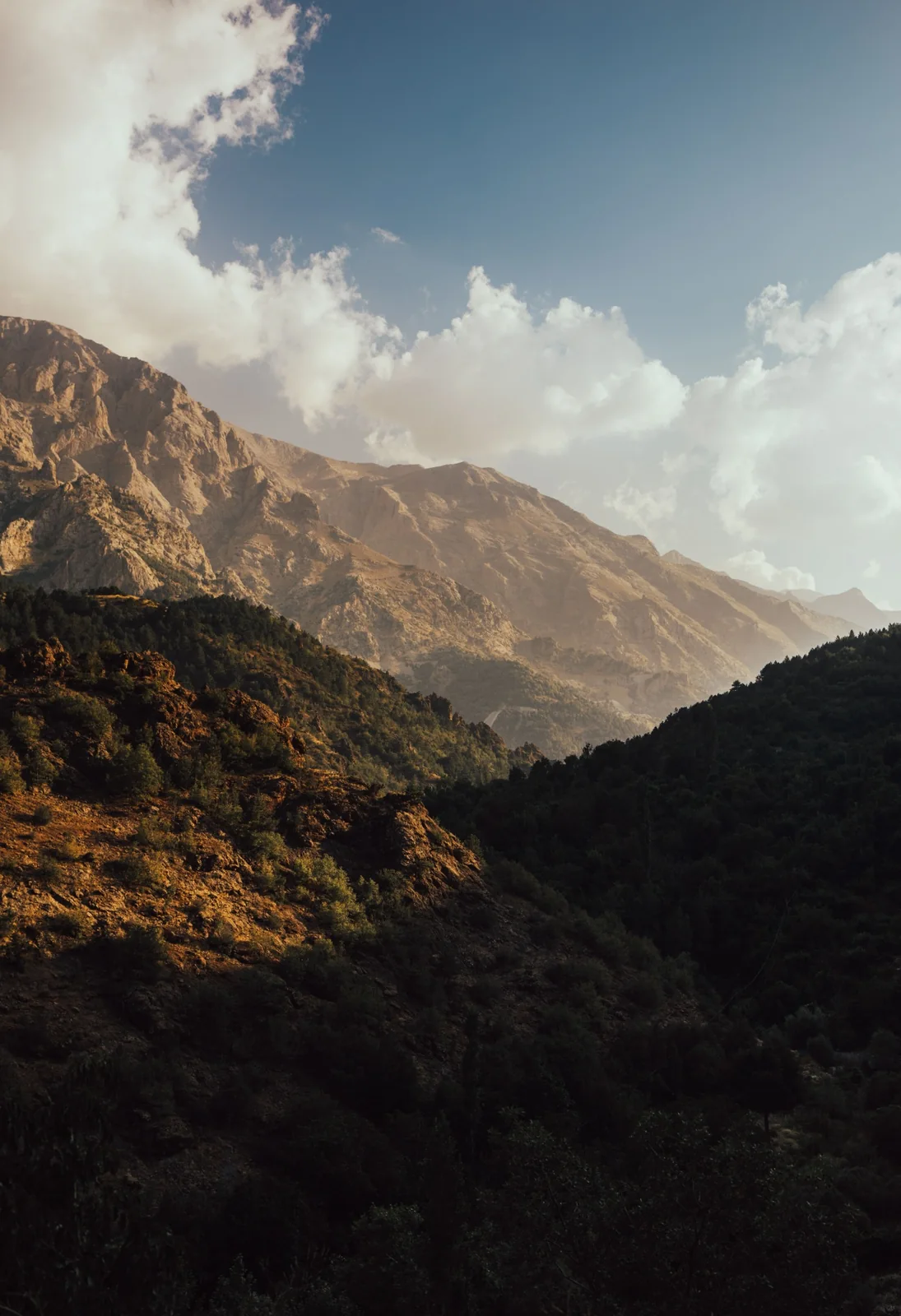 Trekking